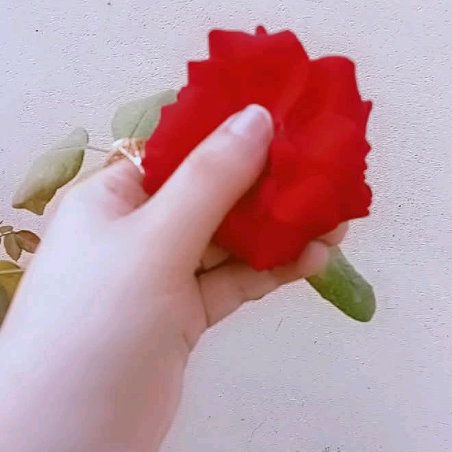 hinajutt5555