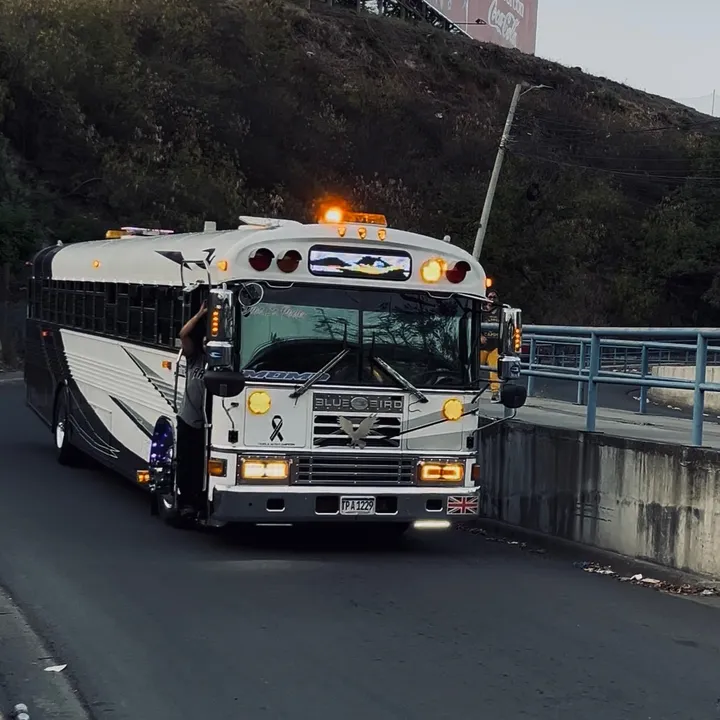 buses_hn15