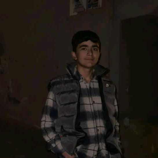 user3181348264