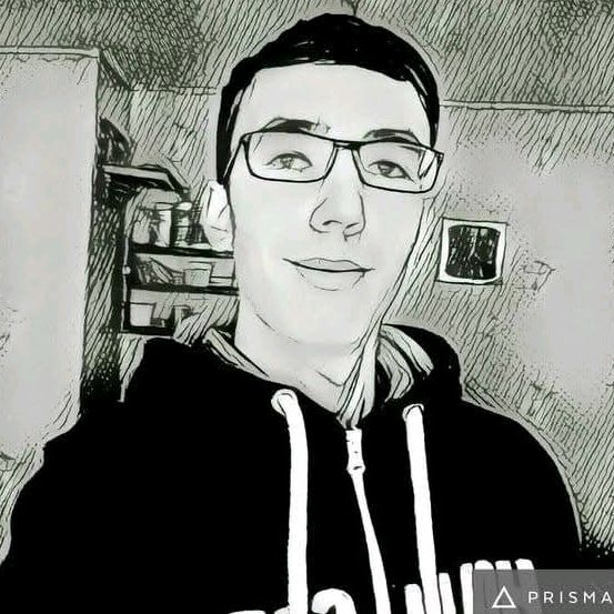 wolf_sander