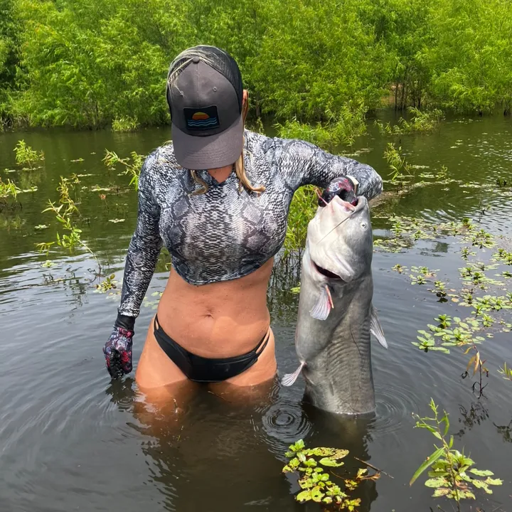 swampbarbee