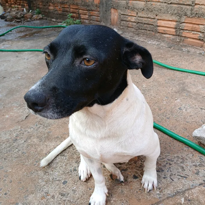 nubia.oficial8