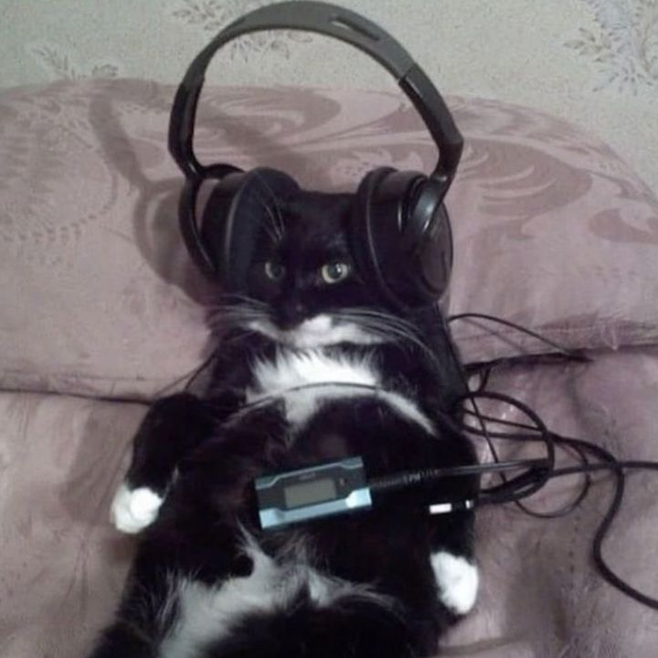 🎧 - original sound - s.seajk