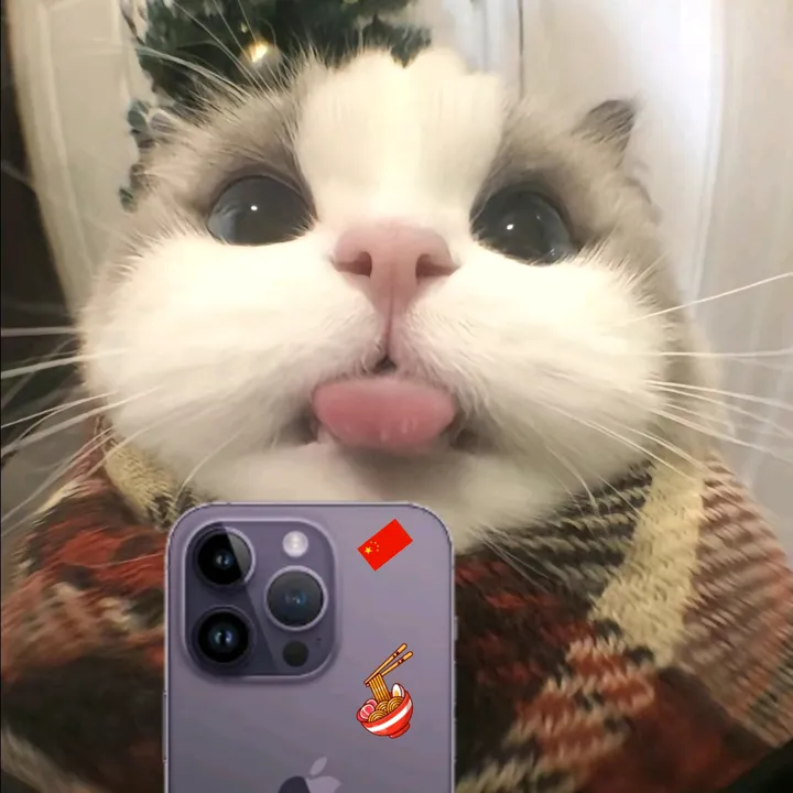 pengyou_ni_hao