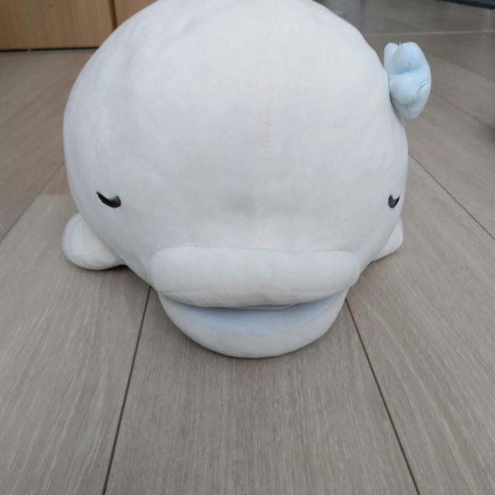 naoki4377