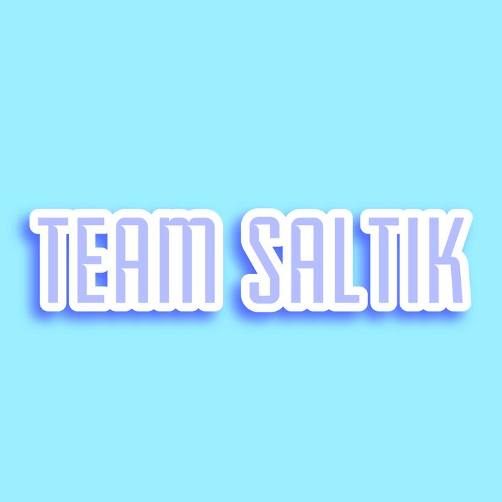team_saltik0