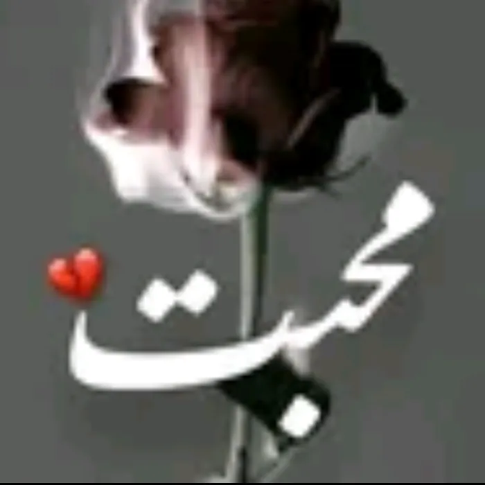 mushahidsherani_8834