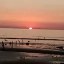 @ridoykhan83029