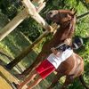 lucas.fernandez872