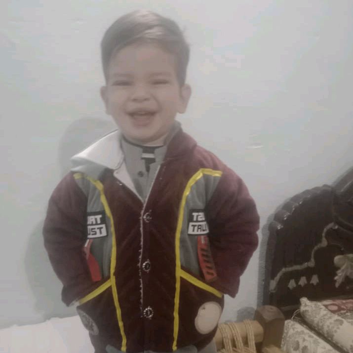 shahzaman8660