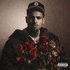 breezy_229