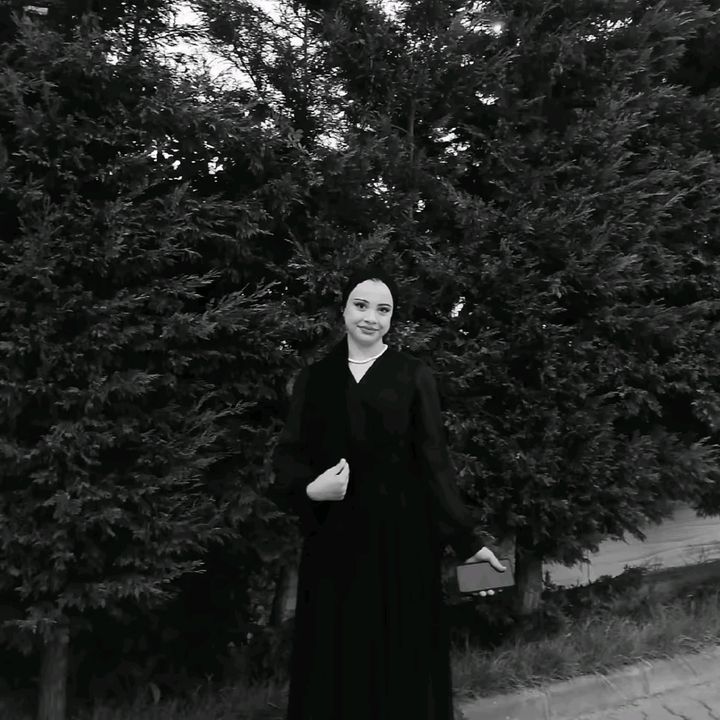 ayseegullatess