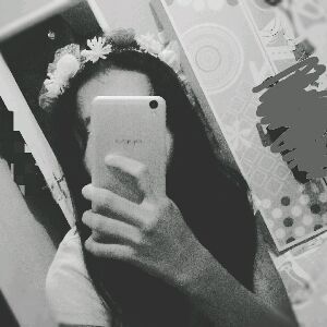 alfarisa