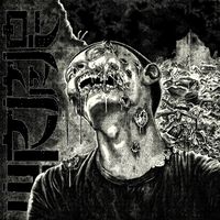 Wormrot - Evolved Into Nothing