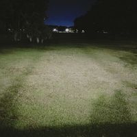 robin & me - looking for help