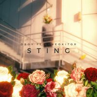 DBOY - Sting
