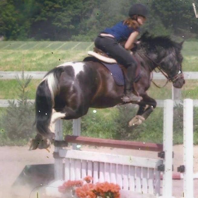 valiant.equestrian_em