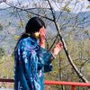 anila_kashmiri