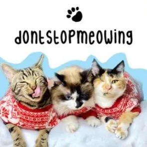@dontstopmeowing