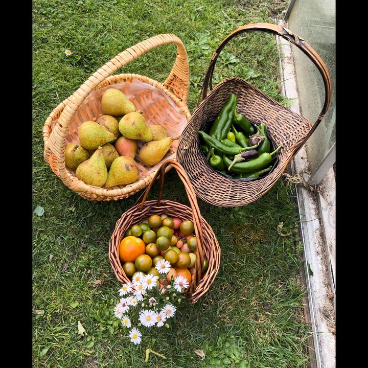 gardeningwithnaza_hamed