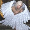 fallen.angelll6