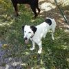 rudi42466