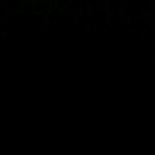 _reyhanckr50