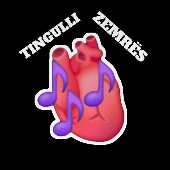 𝗧𝗜𝗡𝗚𝗨𝗟𝗟𝗜 𝗭𝗘𝗠𝗥𝗘𝗦 - original sound - tingulli.zemres