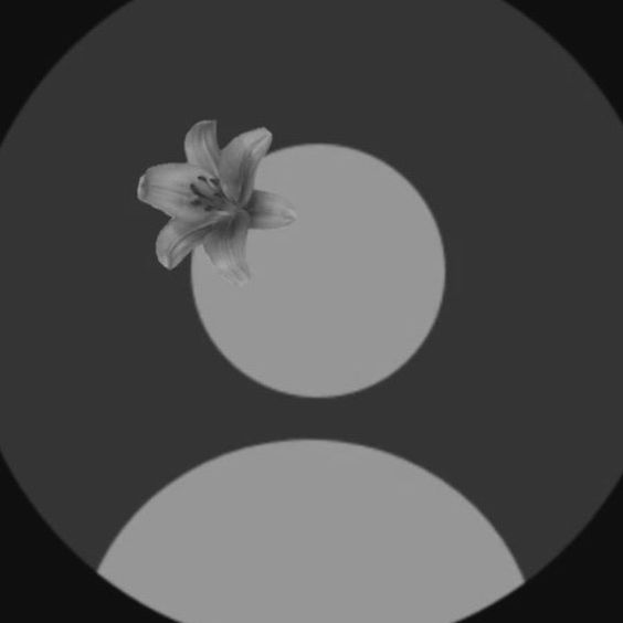 aimeeslater6