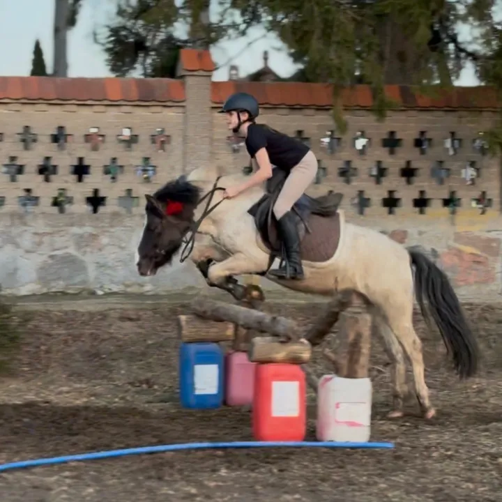 laura.eq5