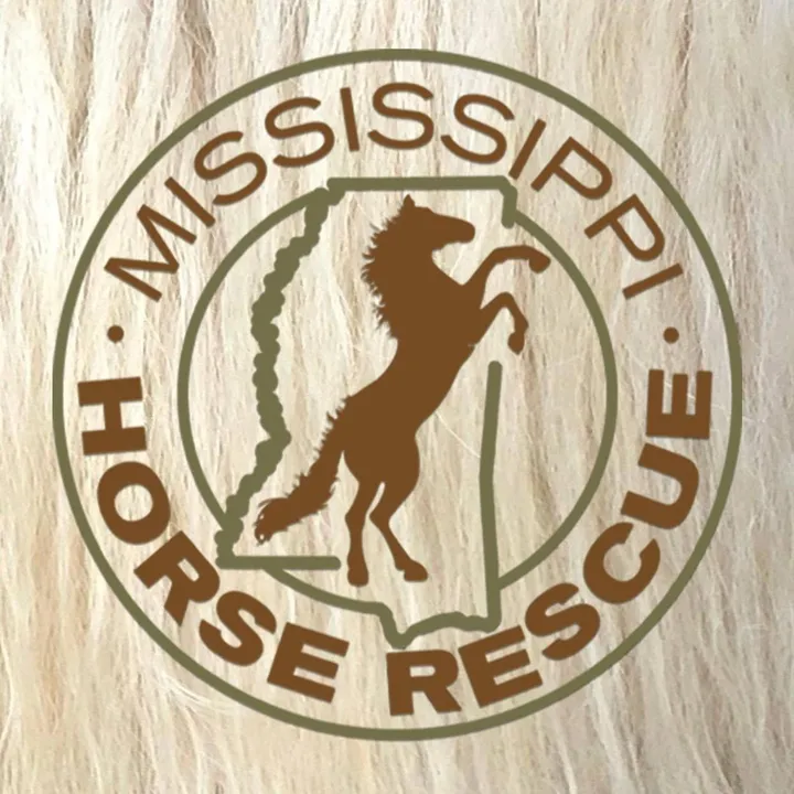 @rescuemshorses