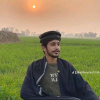 atifwarraich248