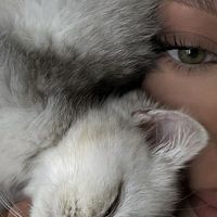 lady.van.doren.sinclair