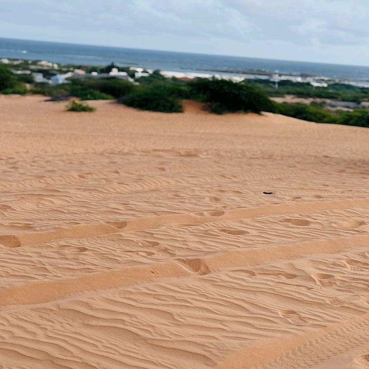moqdishosomaliya