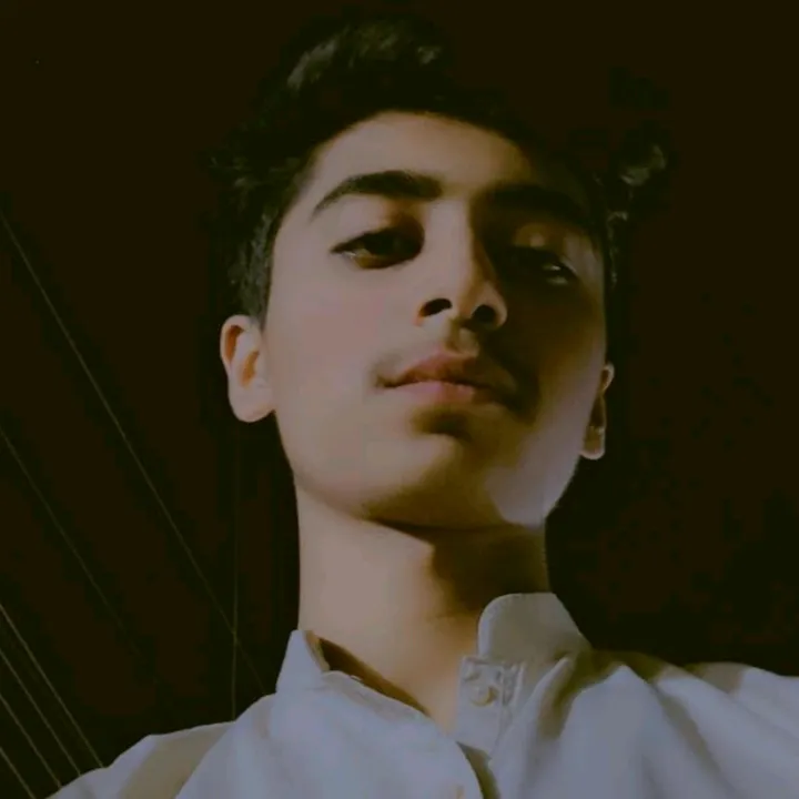 cricket_editor788