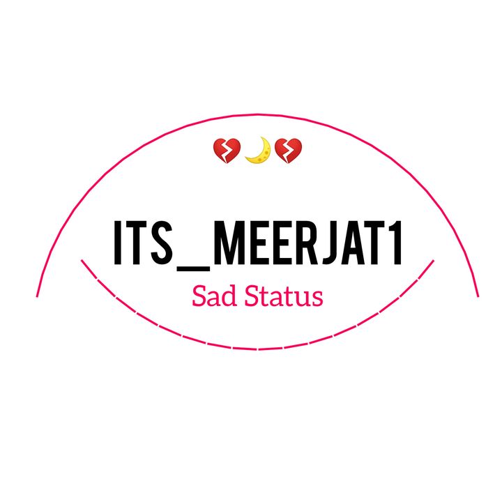 its_meerjat1