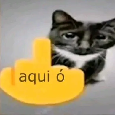 @weszz01