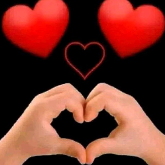 nadifo.maxamud