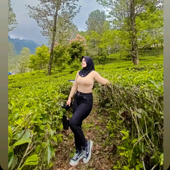 idih_1414