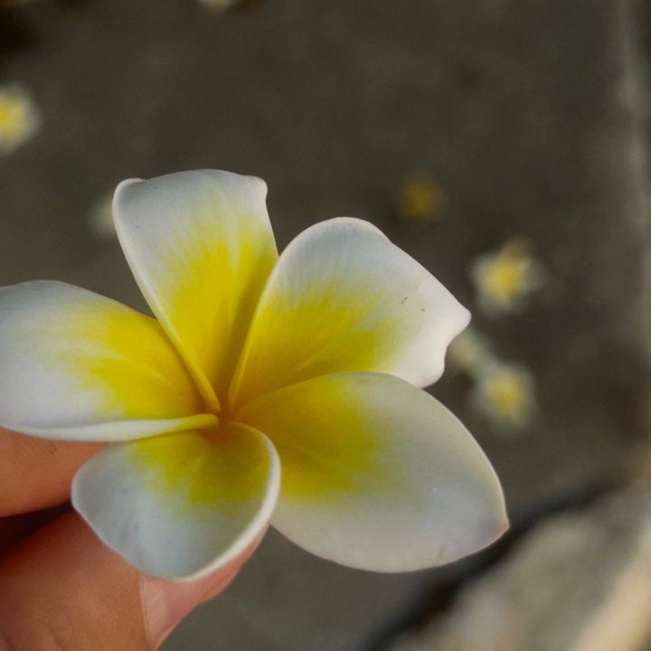 uau_06