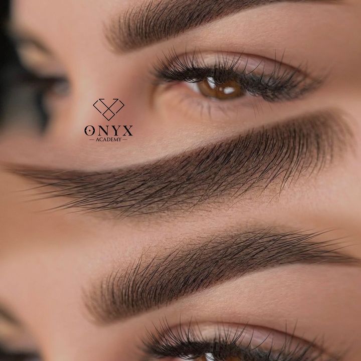 onyx.pmu.academy