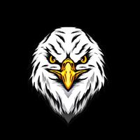 equipatos