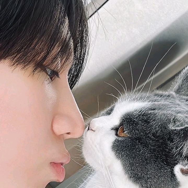 kyto_o