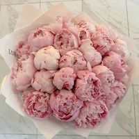 souad.lvv