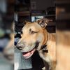 jaxsadventure