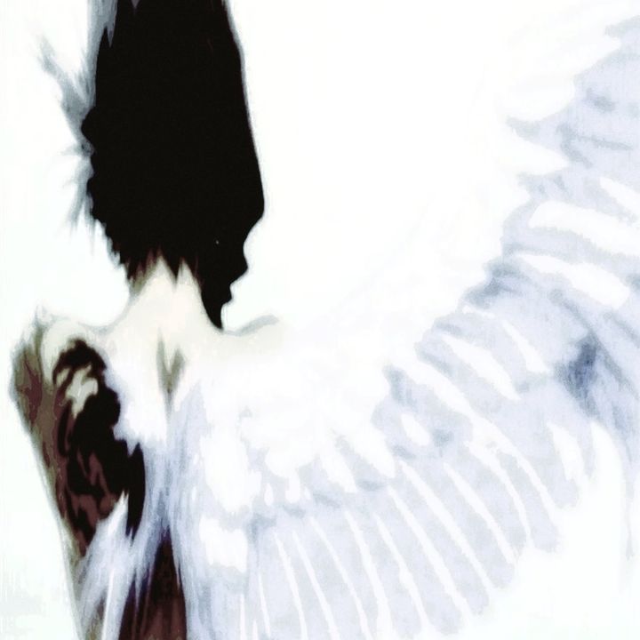 ☆ - original sound - reqort