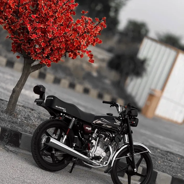 ateeq__zx03
