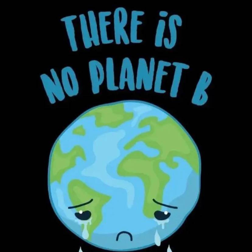 original sound - velositions