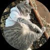 riham.alm