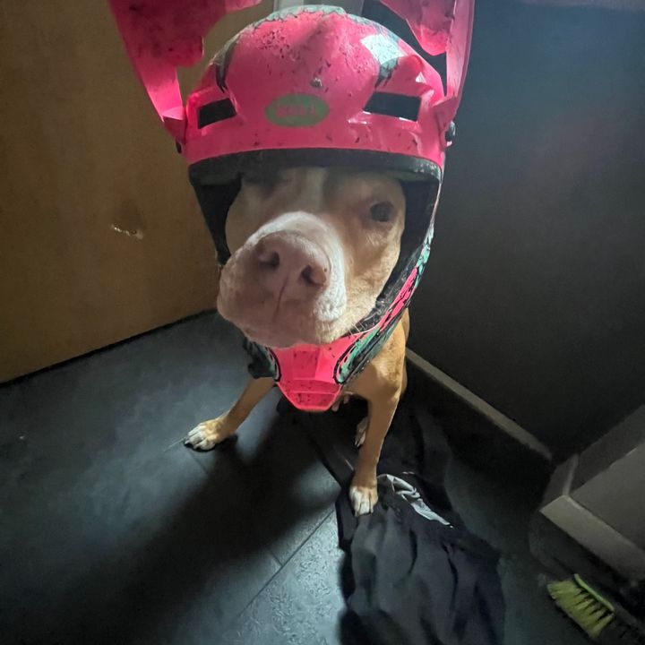 clive_bikes